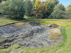 pond construction