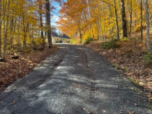 IMG_4427