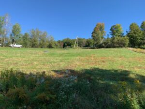 IMG_5097